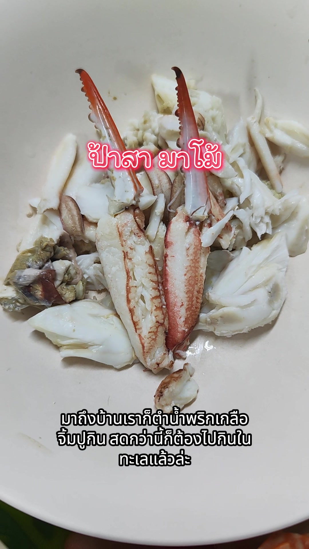 @ป้าสามาโม้