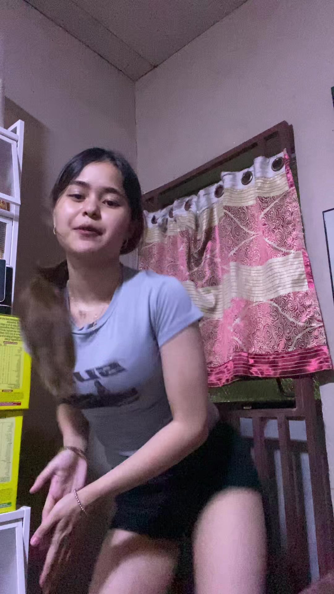 @Dinosaur na umiilaw