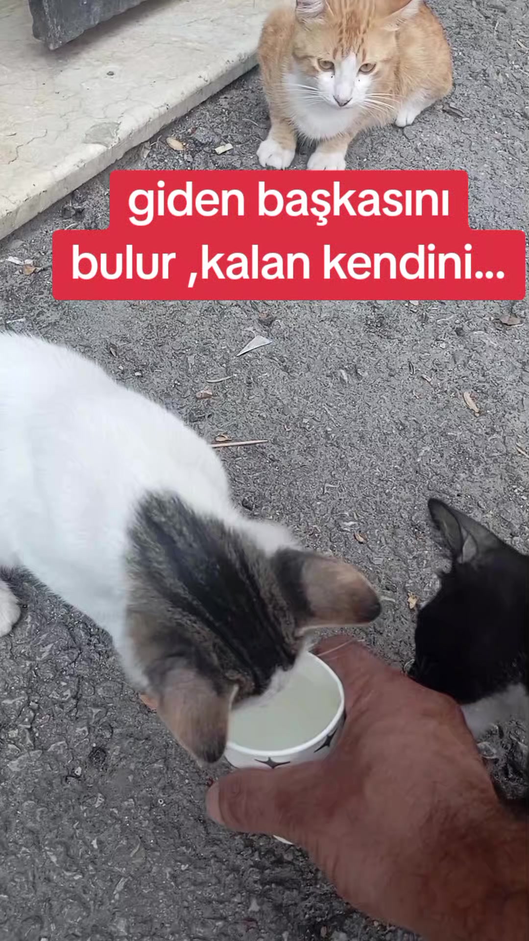 @çamur