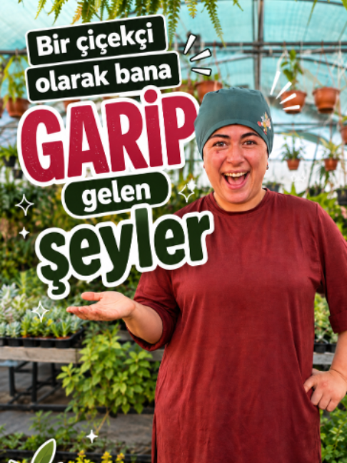@Botanik bah&ccedil;esi flora