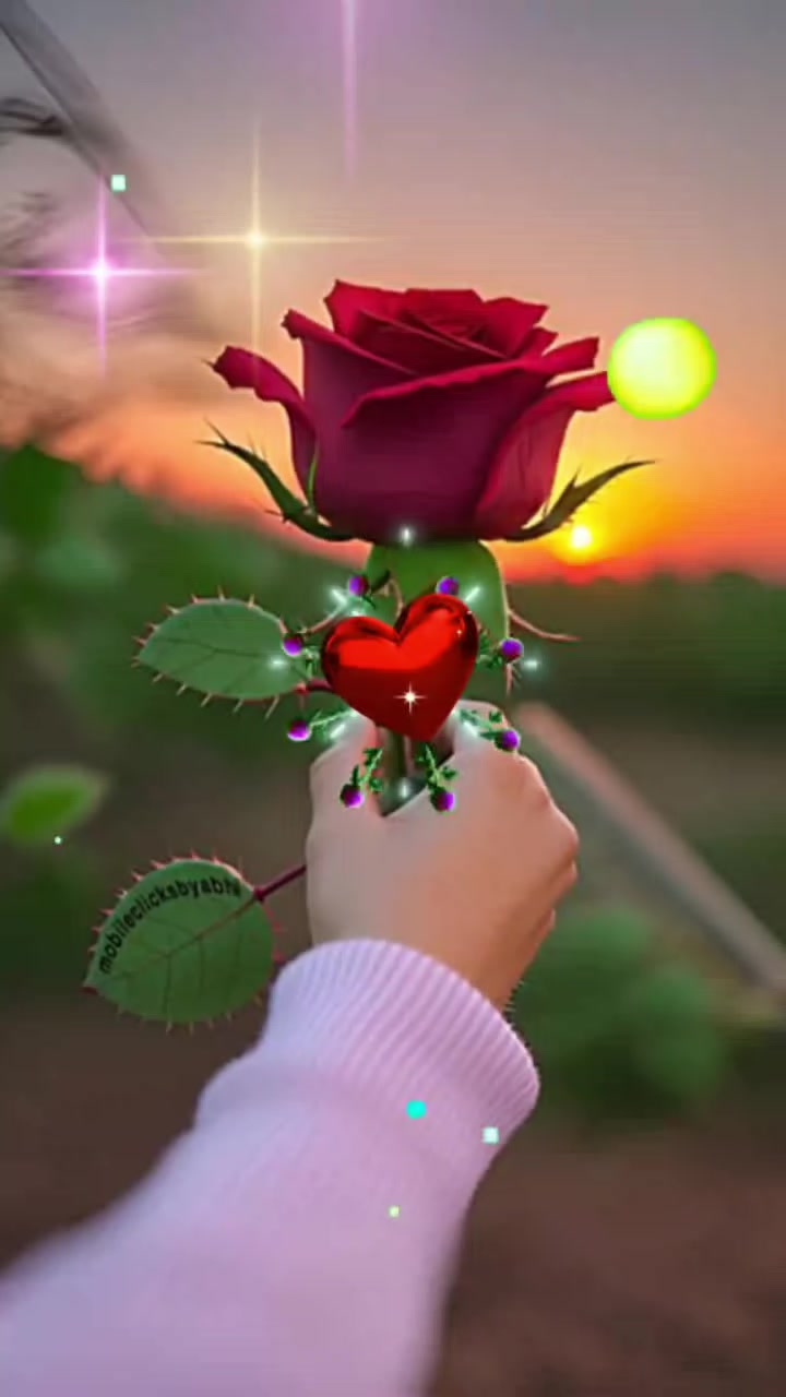 @Jameela Khan