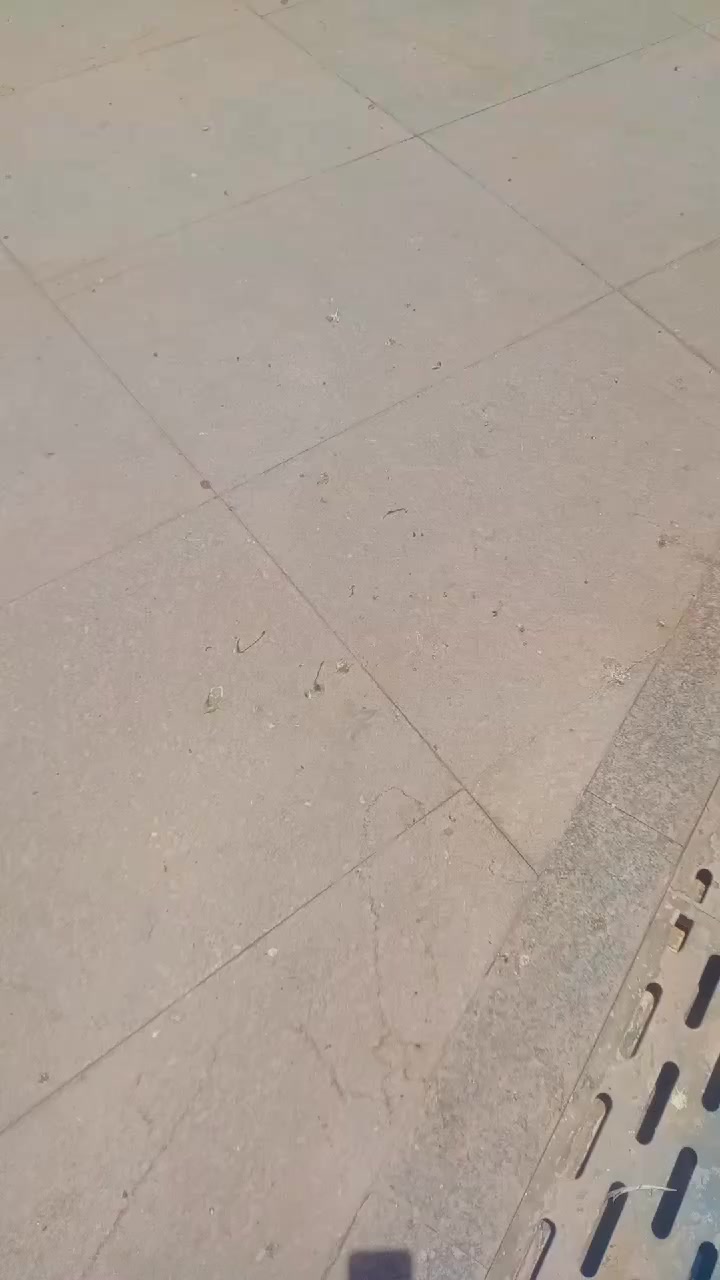 @معلم جبس مكه المكرمه
