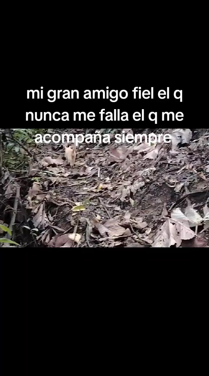 @Corazón indomable