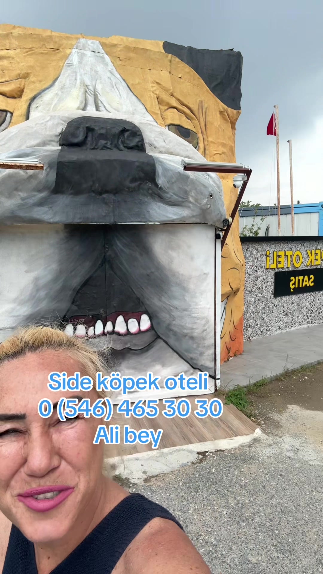 @Alev hoca