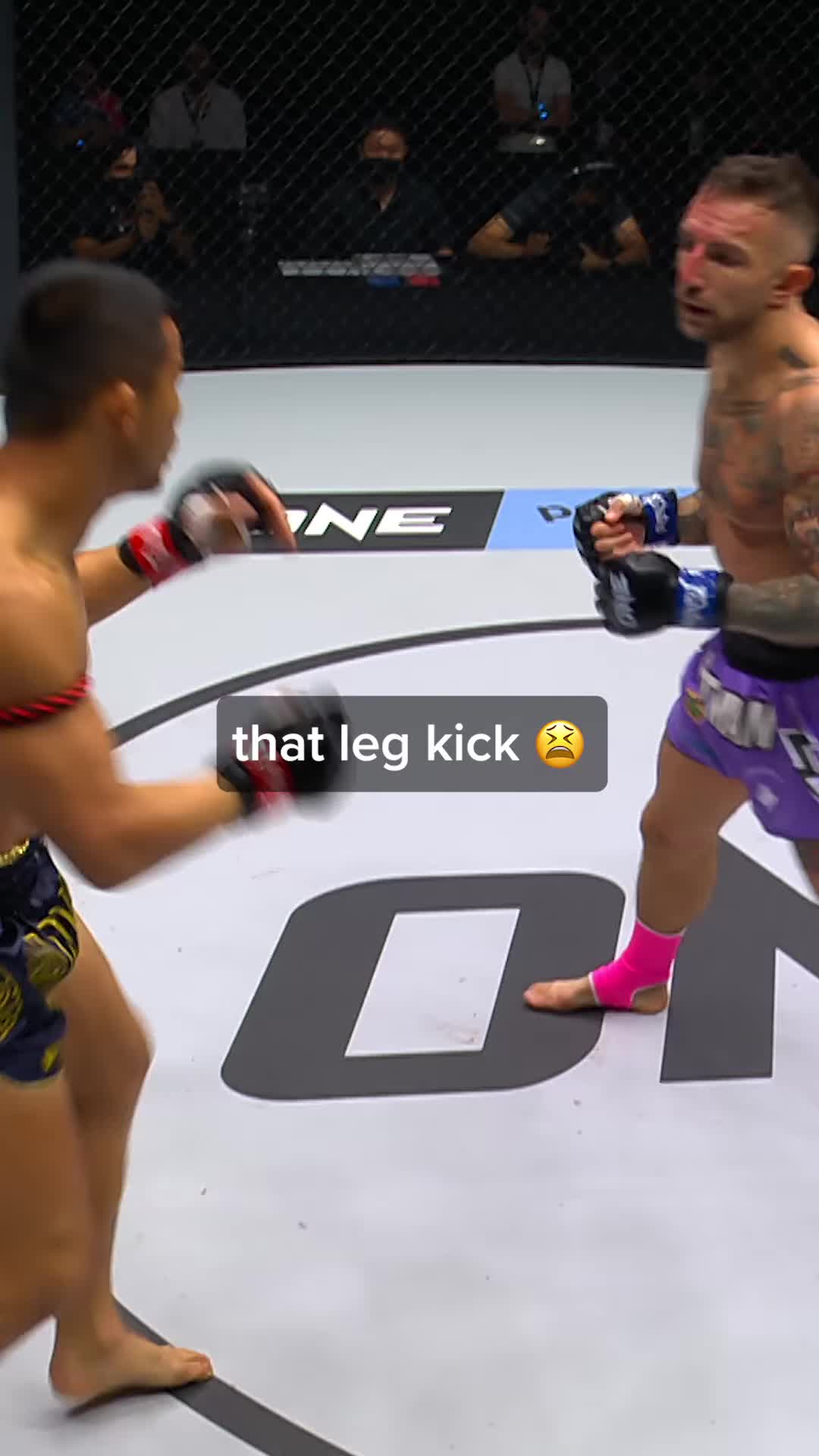 @ONE Championship