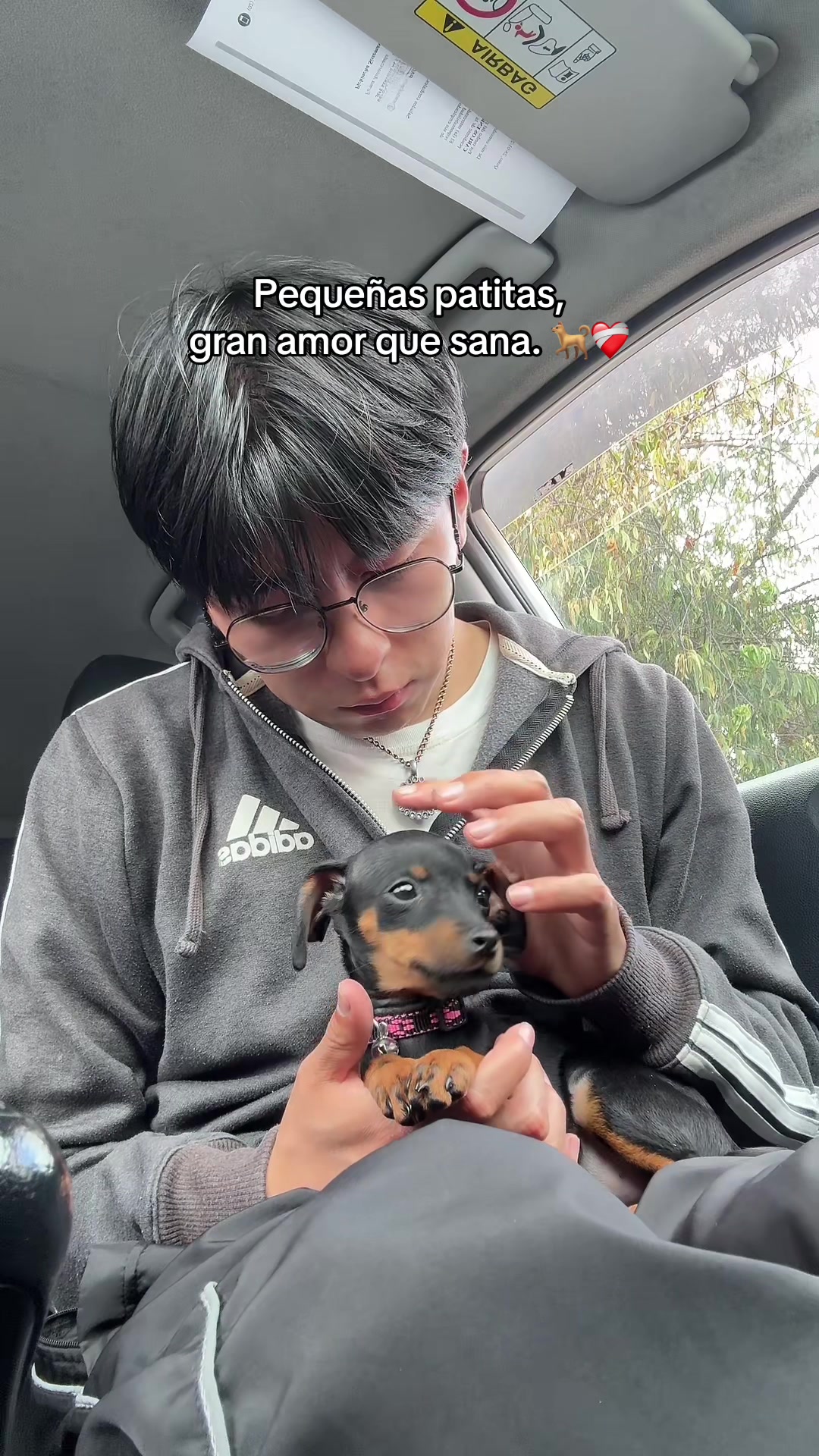 @𝔸ℕ𝔻𝔼ℝ𝕊𝕆ℕ  🐼