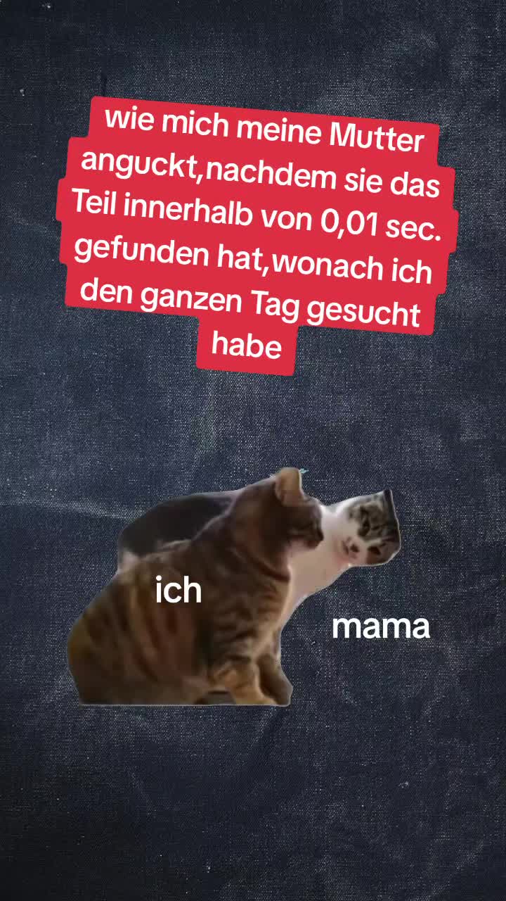 @gino