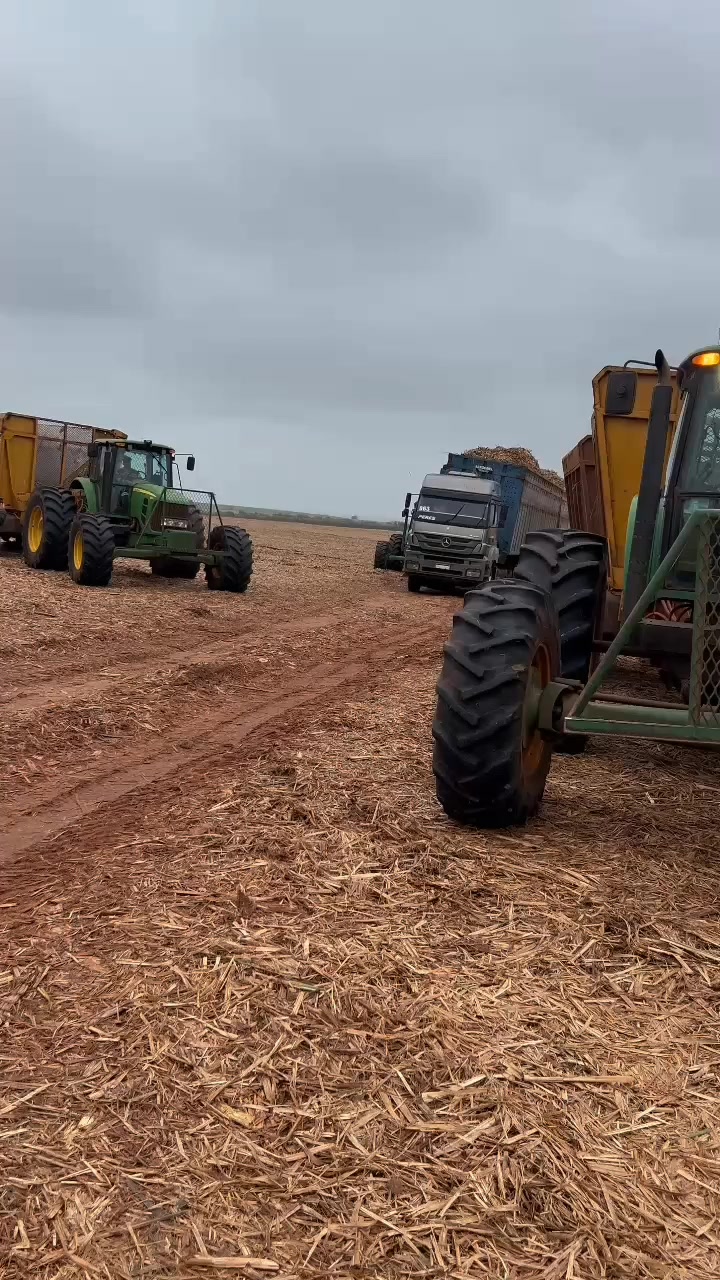 @ÍNDIO DO AGRO 🚜🌱
