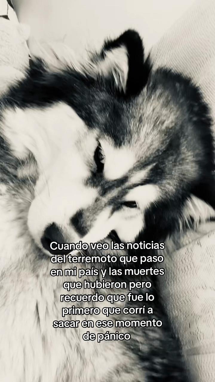 @𝓛𝓐𝓤𝓡𝓐 ᥫ᭡