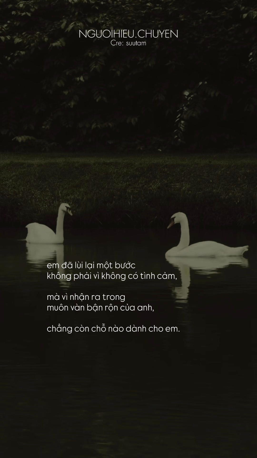 @Người Hiểu Chuyện
