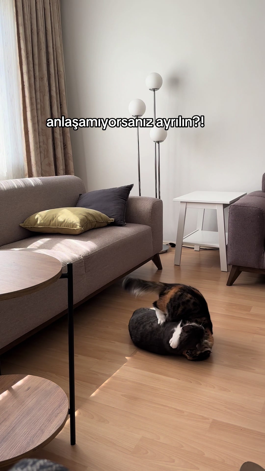 @konusankediminnos