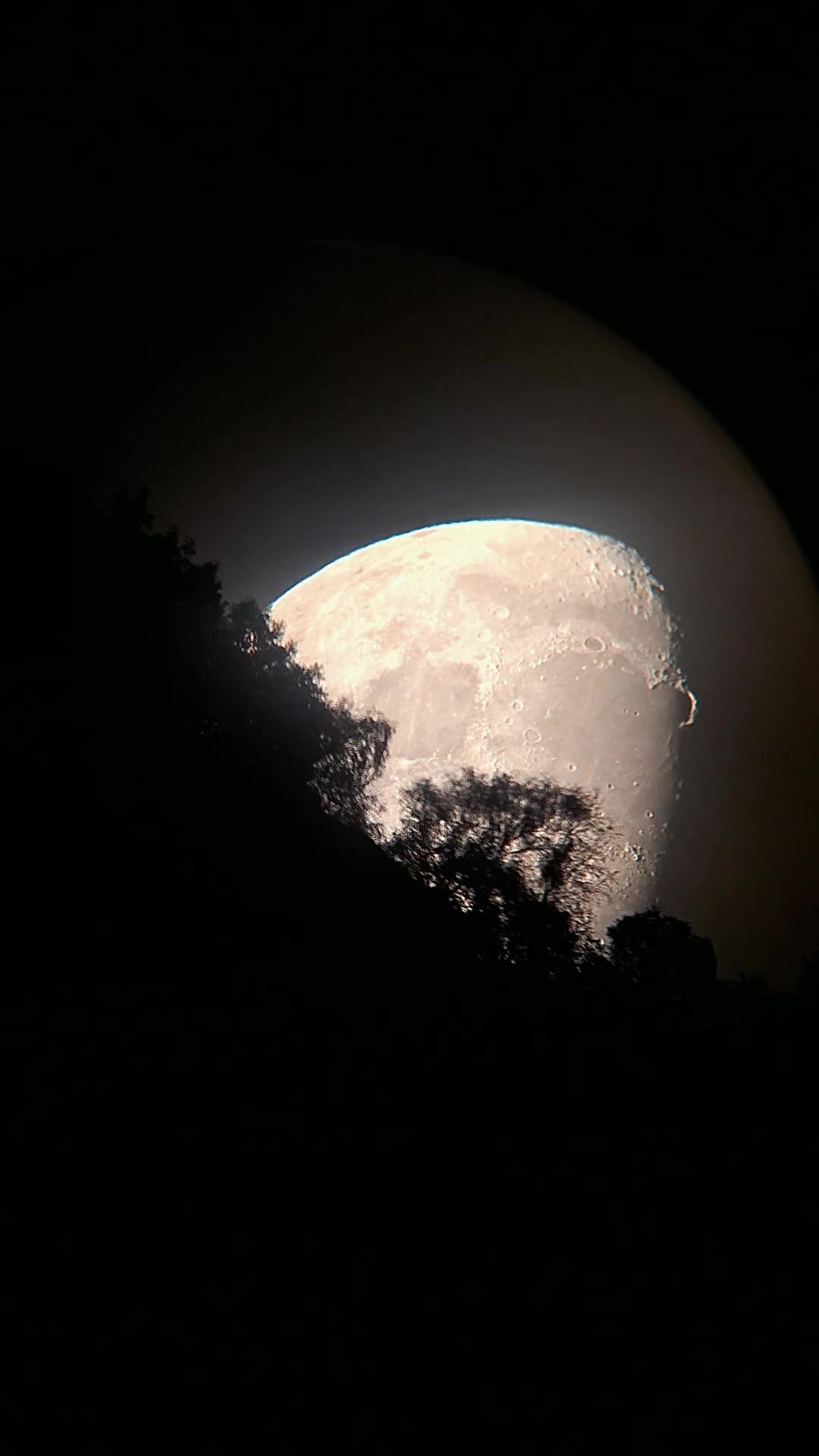 @Moonwatcher