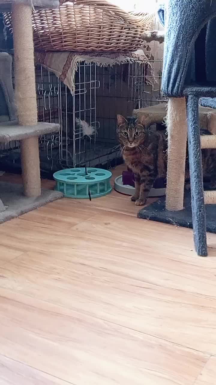 @Roksana.jab