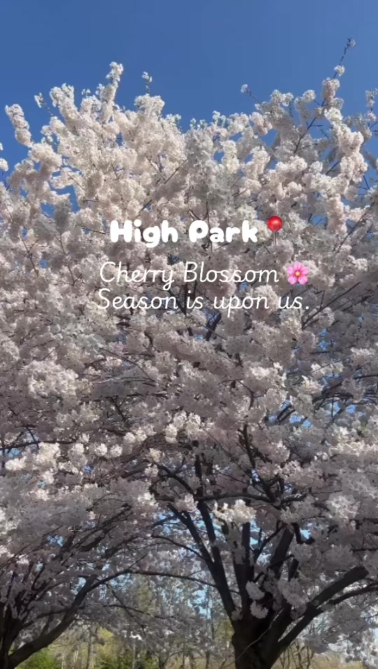 @travelinsightplug
