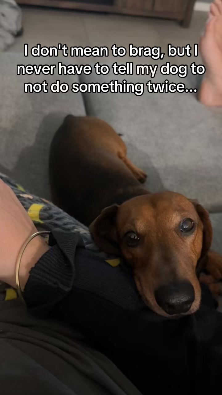 @Von & Her Hounds