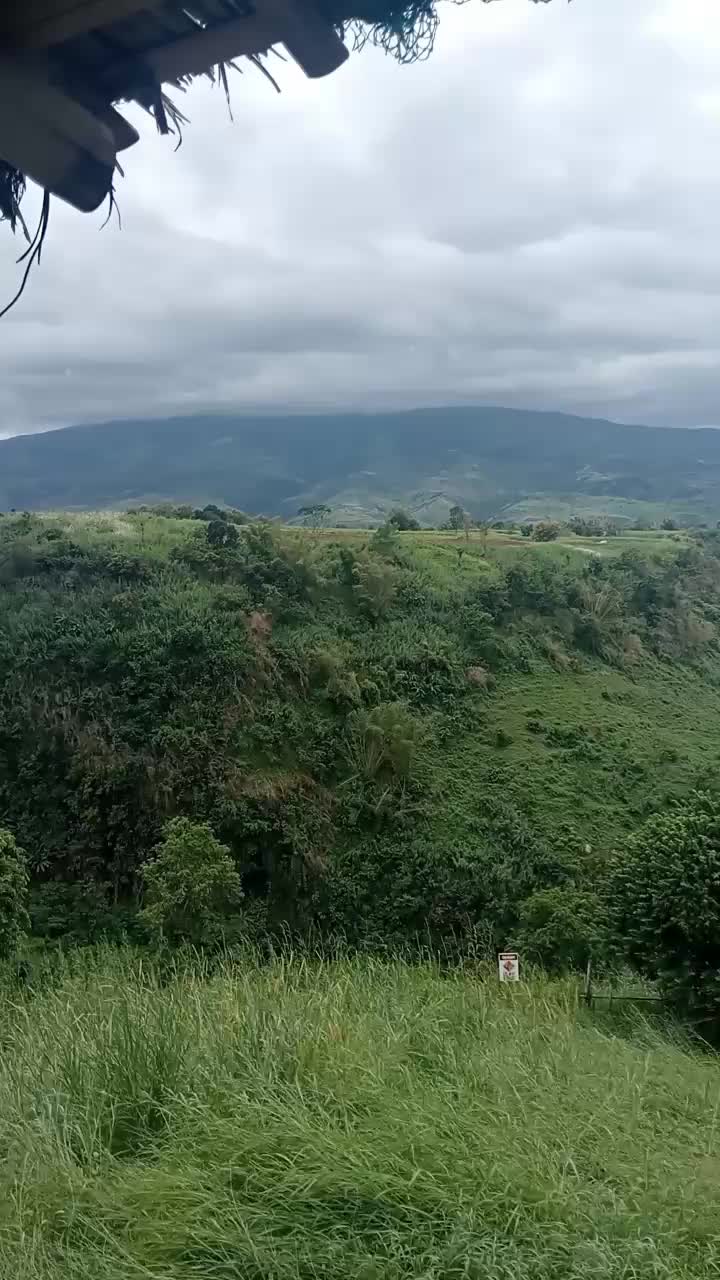 @giebacong