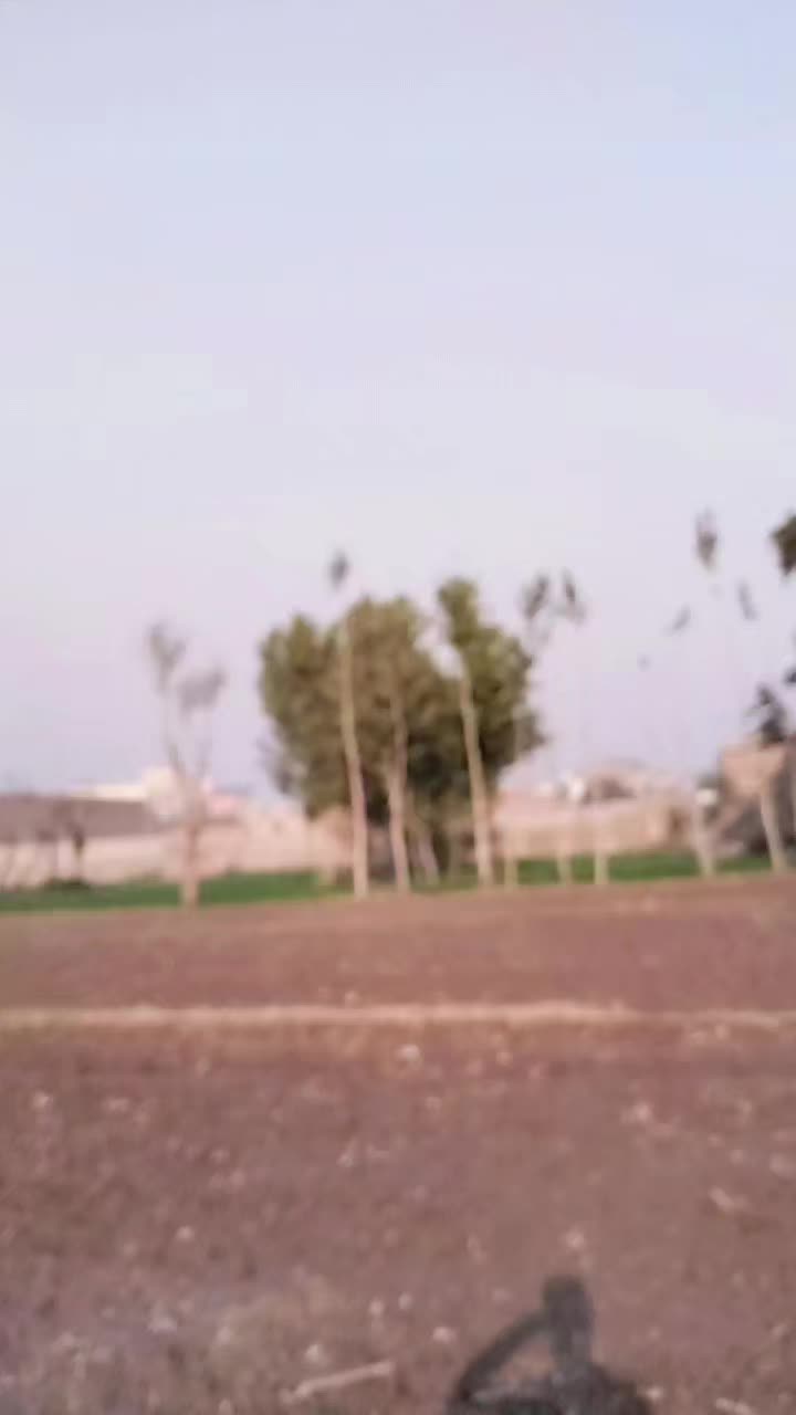 @Shah Rasool