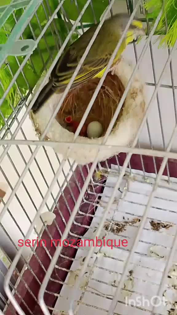 @Midou Pâr Esthesie@