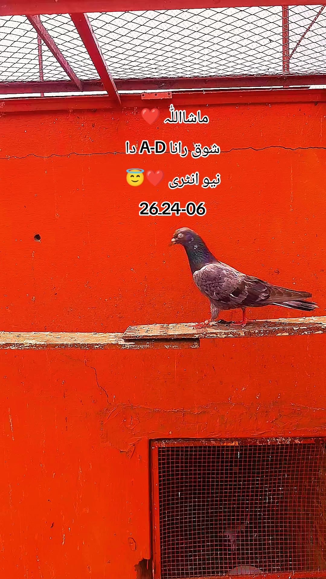 @RanaAdi302