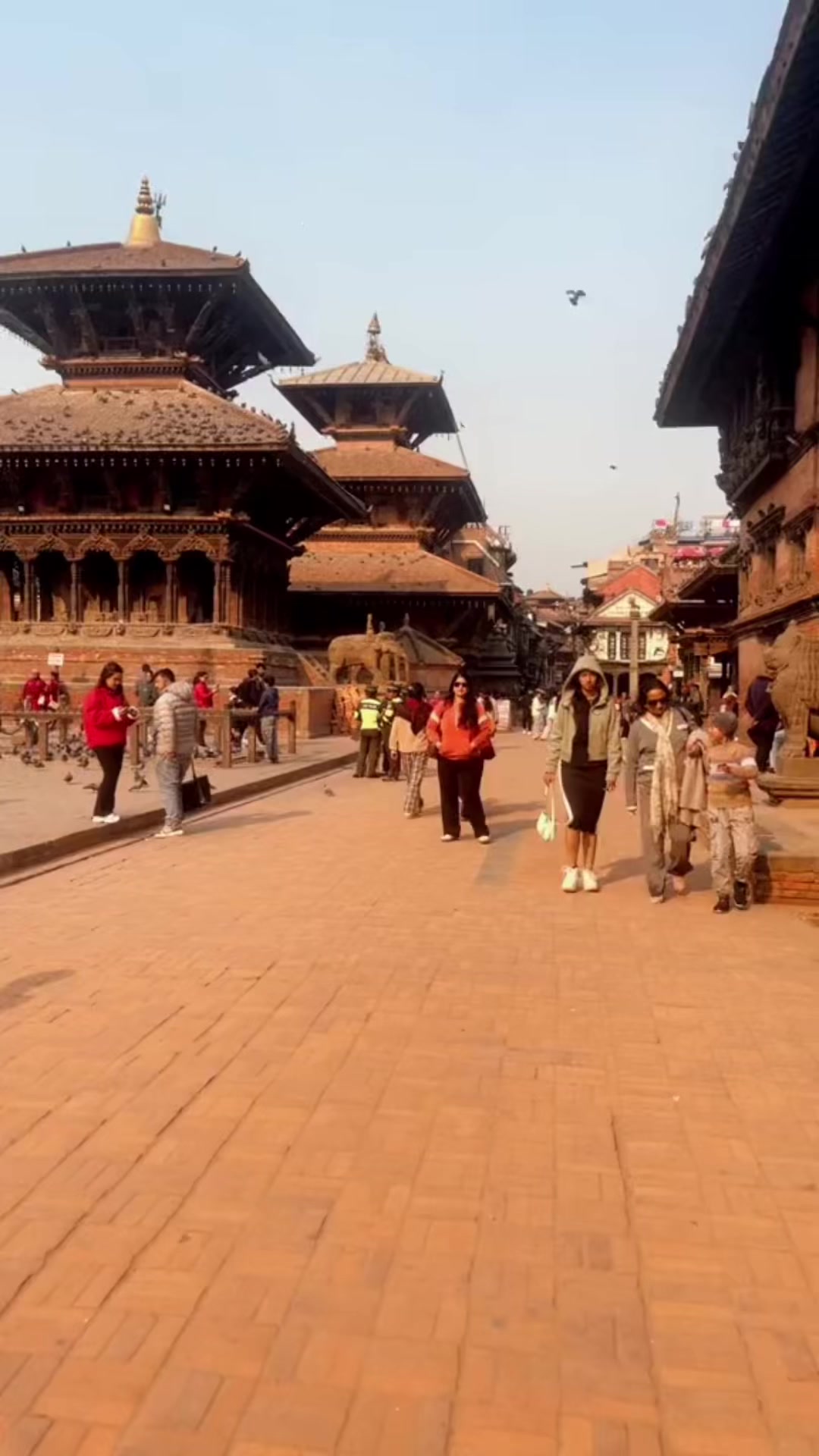 @sb ghimire