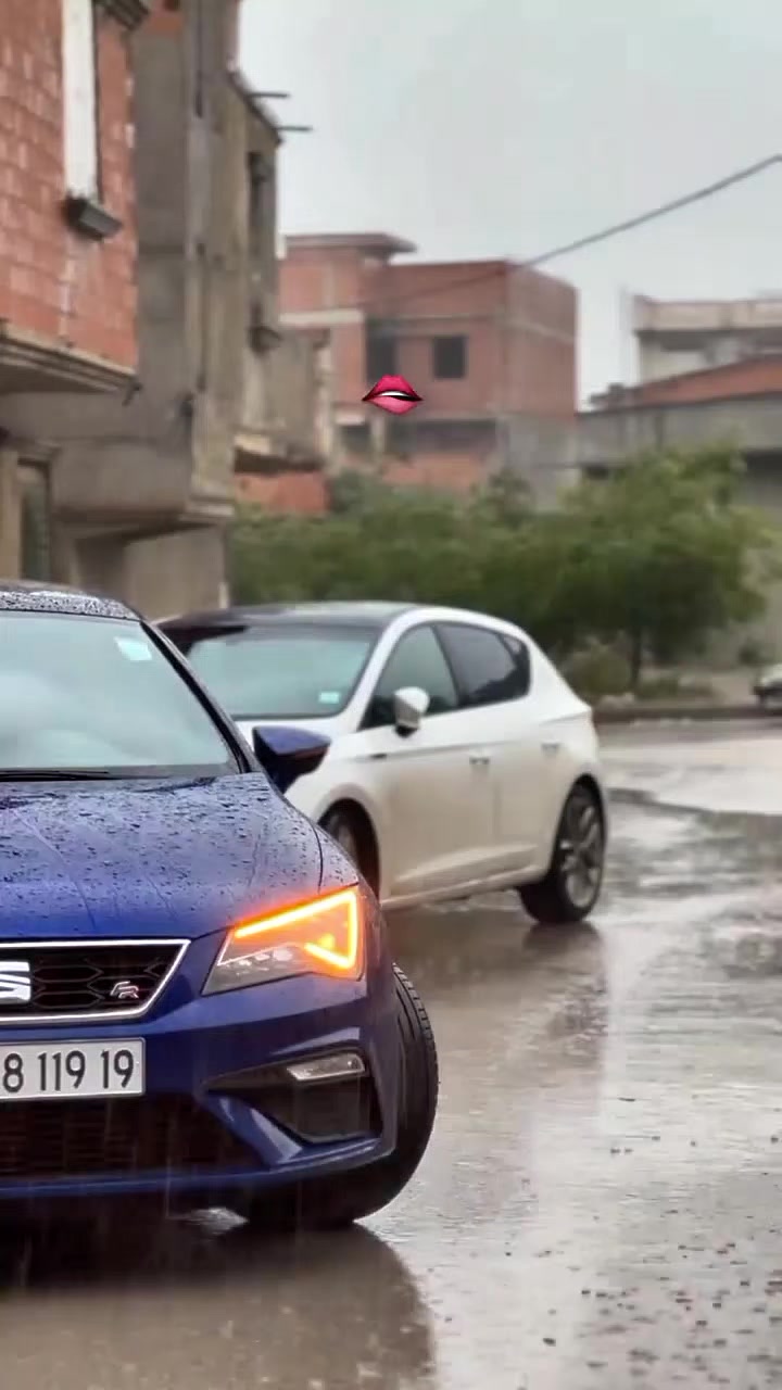 @Dz 🇩🇿