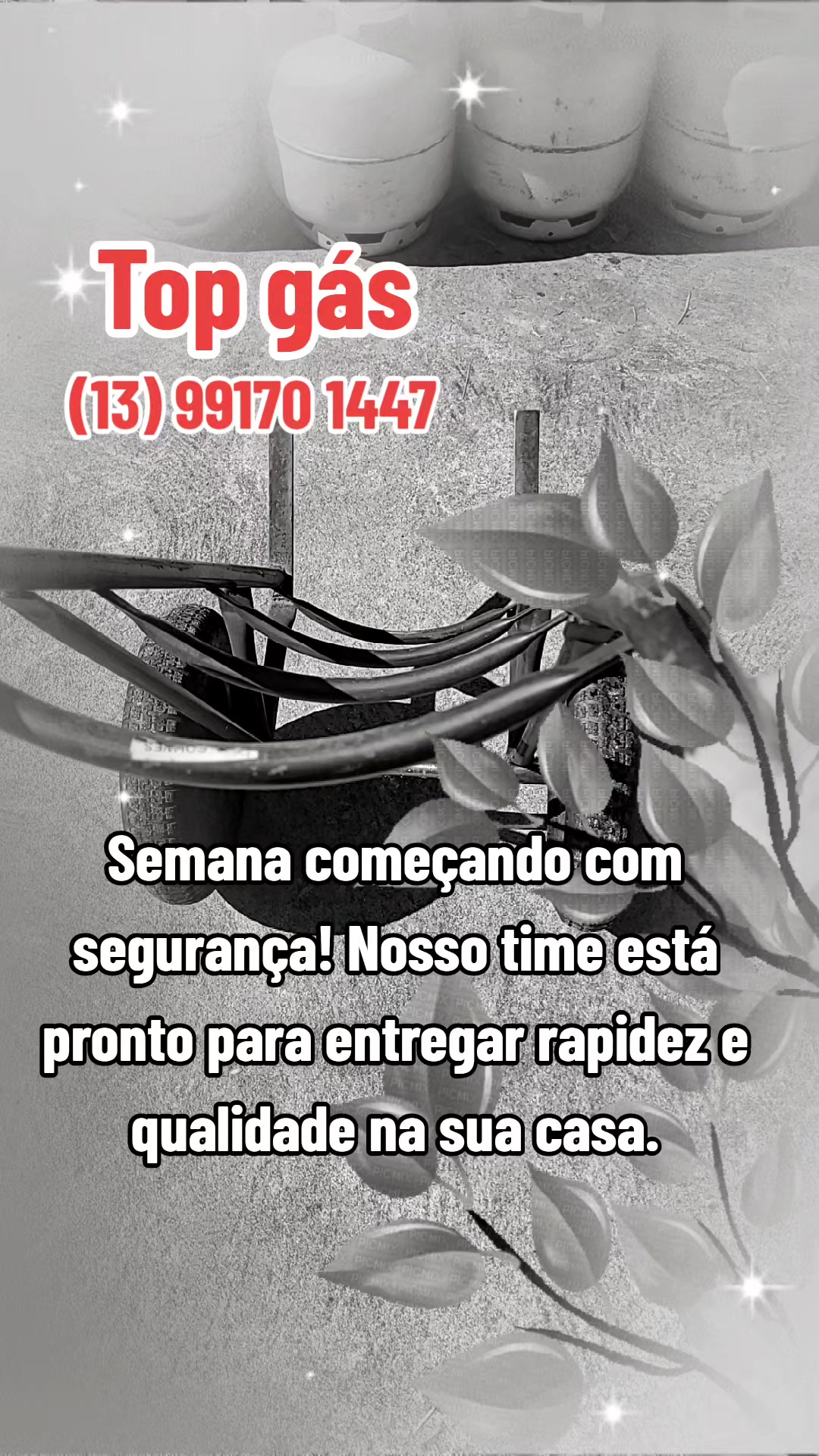 @cidarocha740