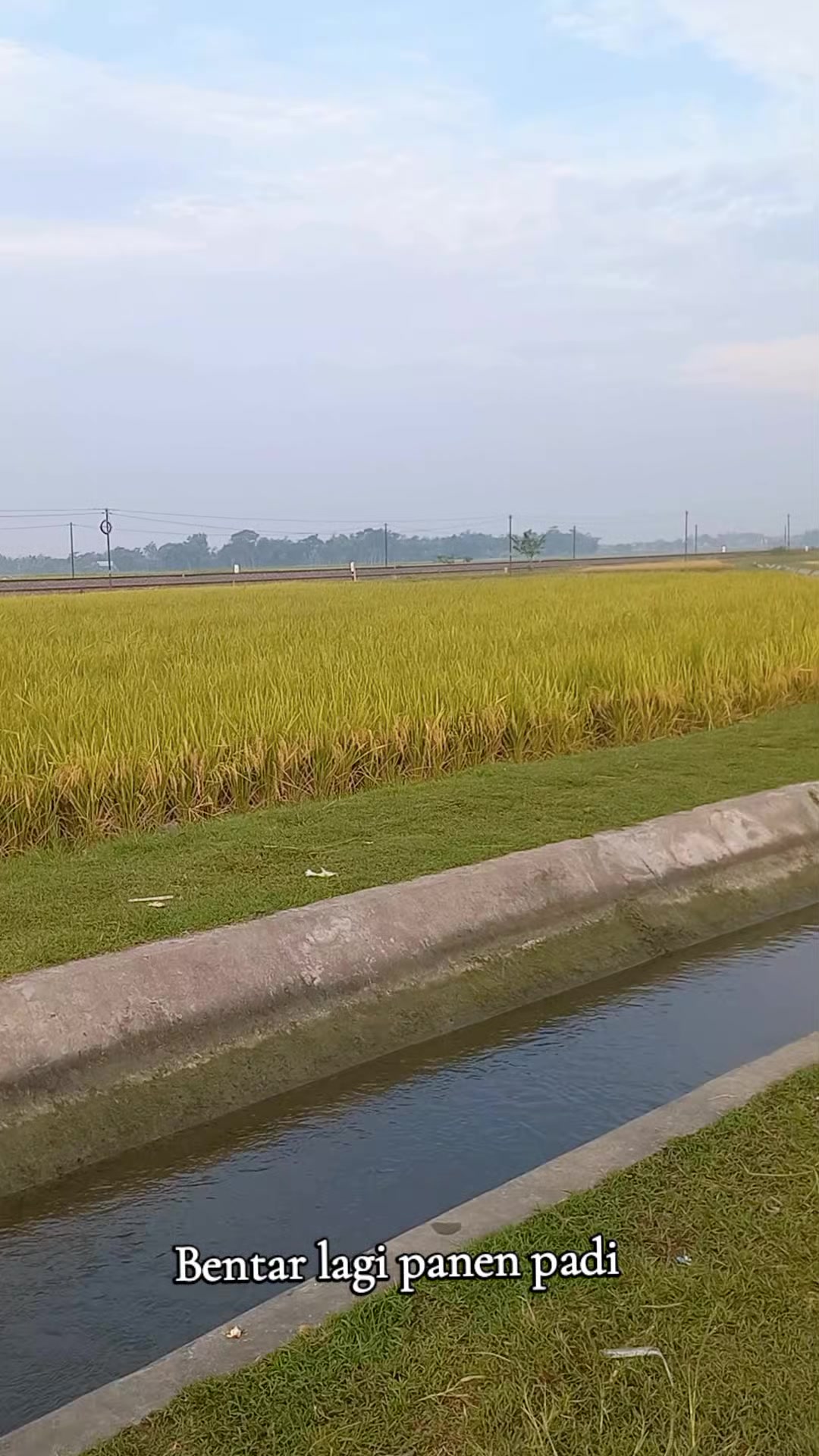 @indasah73