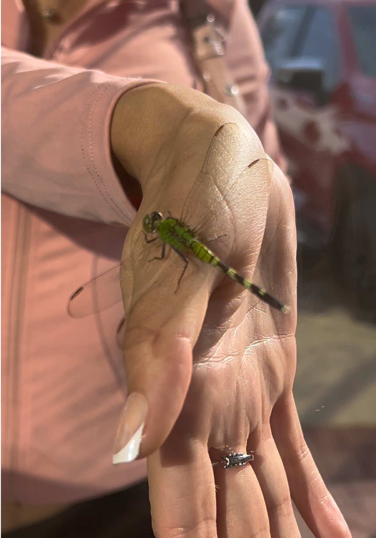 @🐛