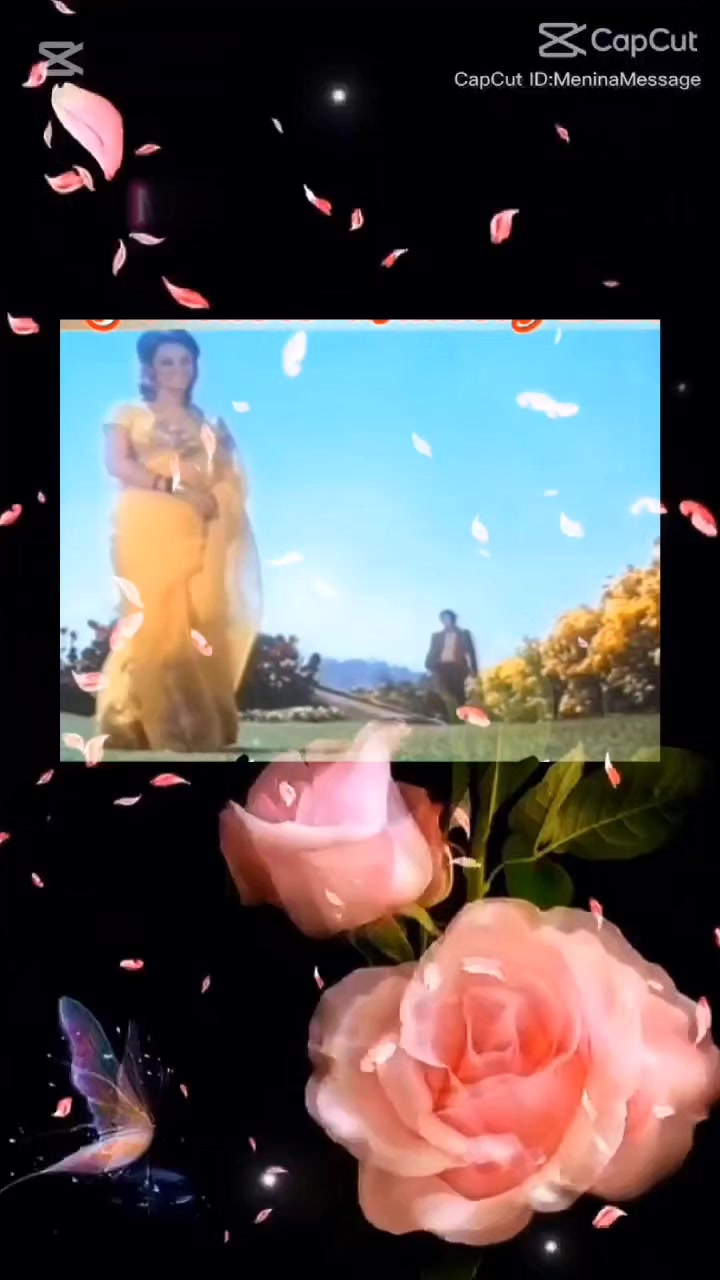 @n.m