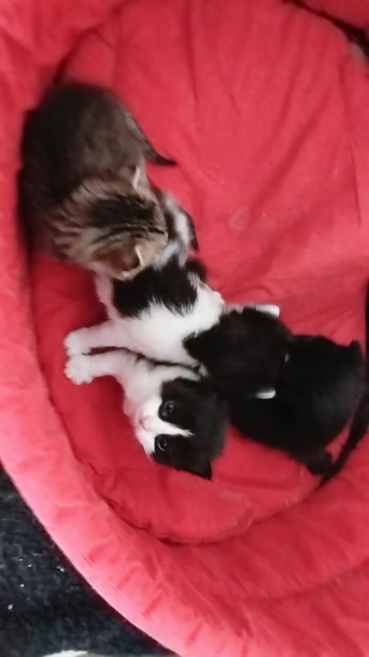 @Mavi Tektaş