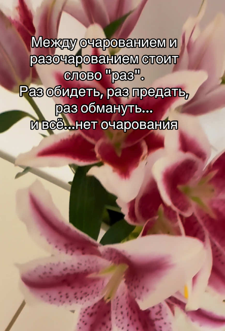 @Svetlana