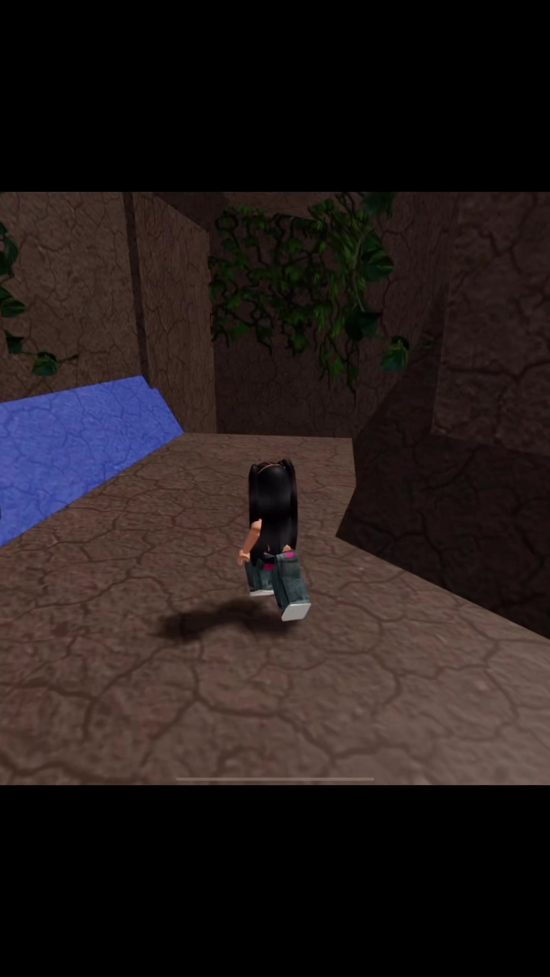 @Robloxplayer