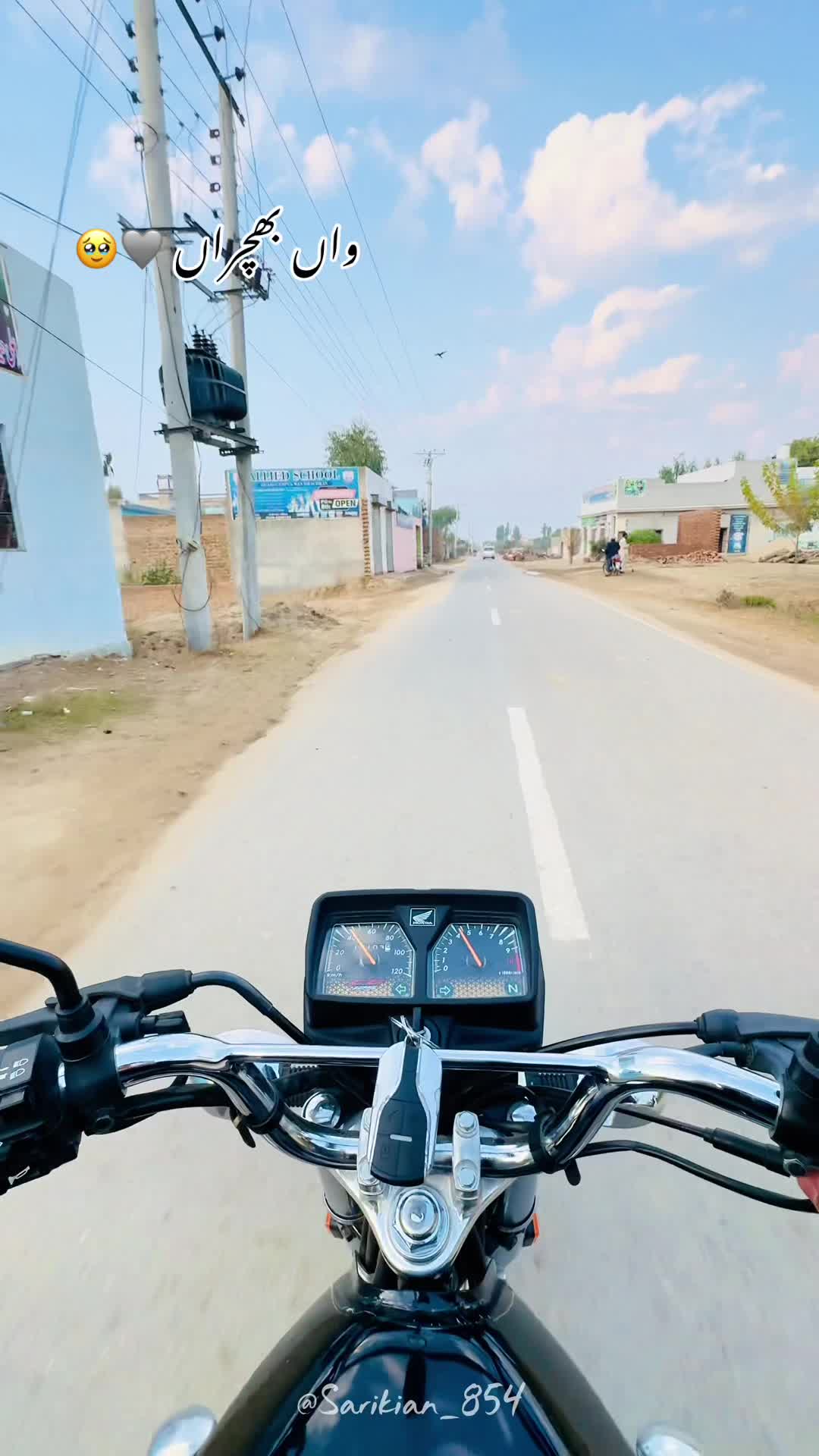 @🕊️