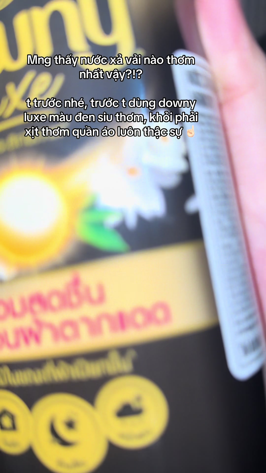 @maitun.review