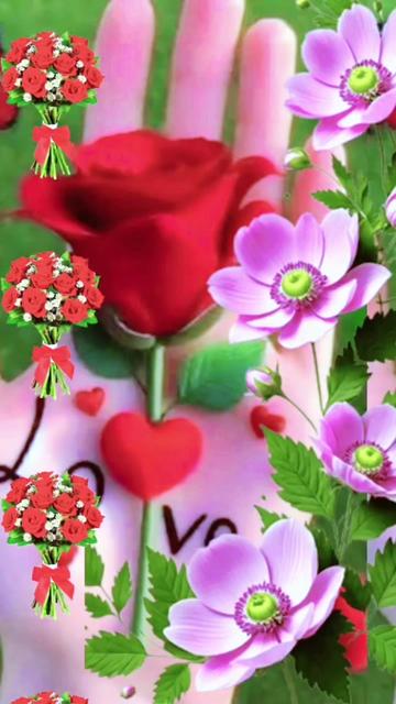 @suvrna