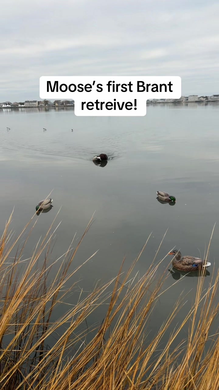@Northern Duck Calls