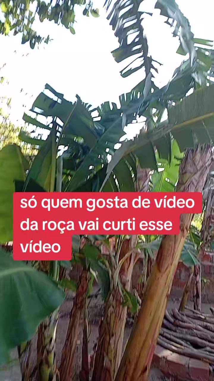 @⚡Sandra Santos OFICIAL ☑️
