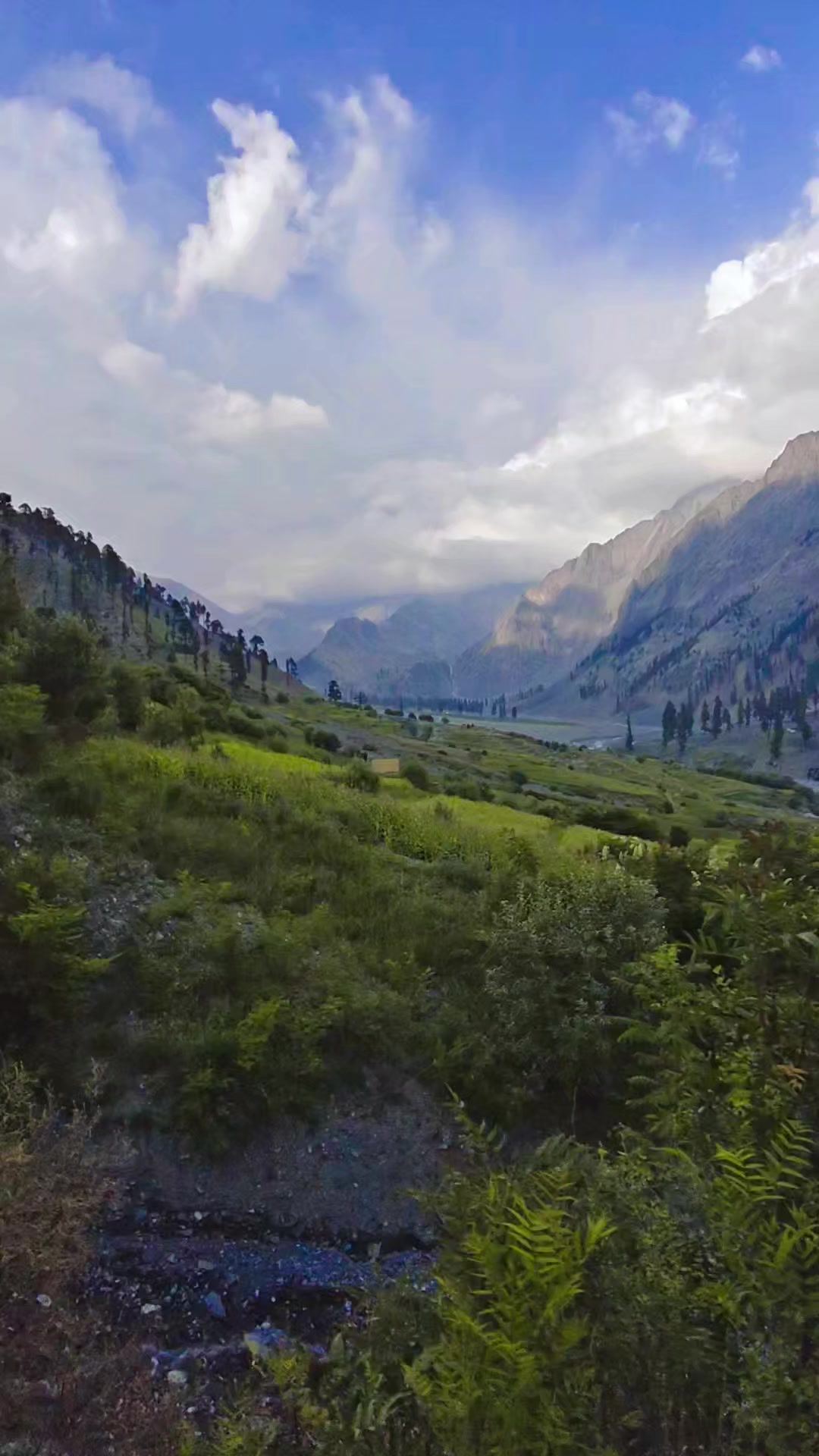@Bazme_Chitral