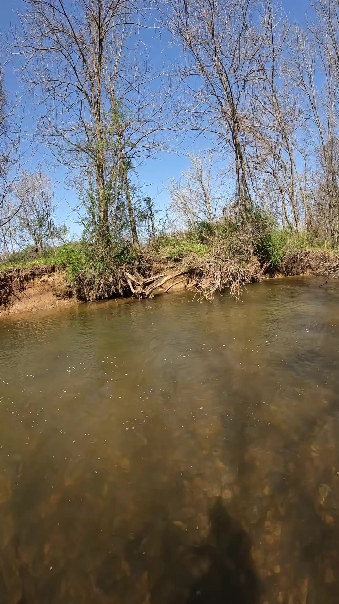 @FlyFishDelawhere