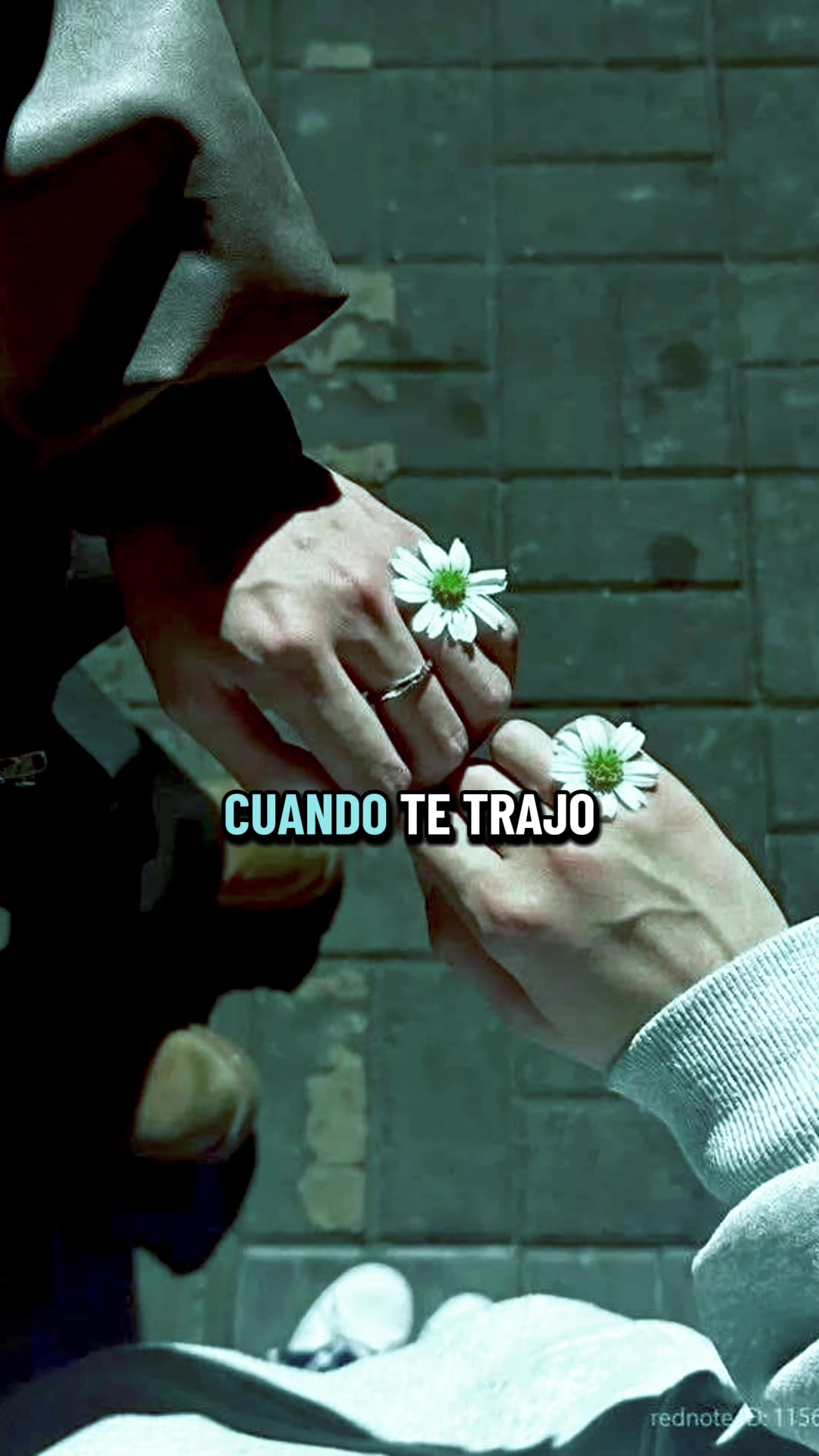 @Todo tipo de musica