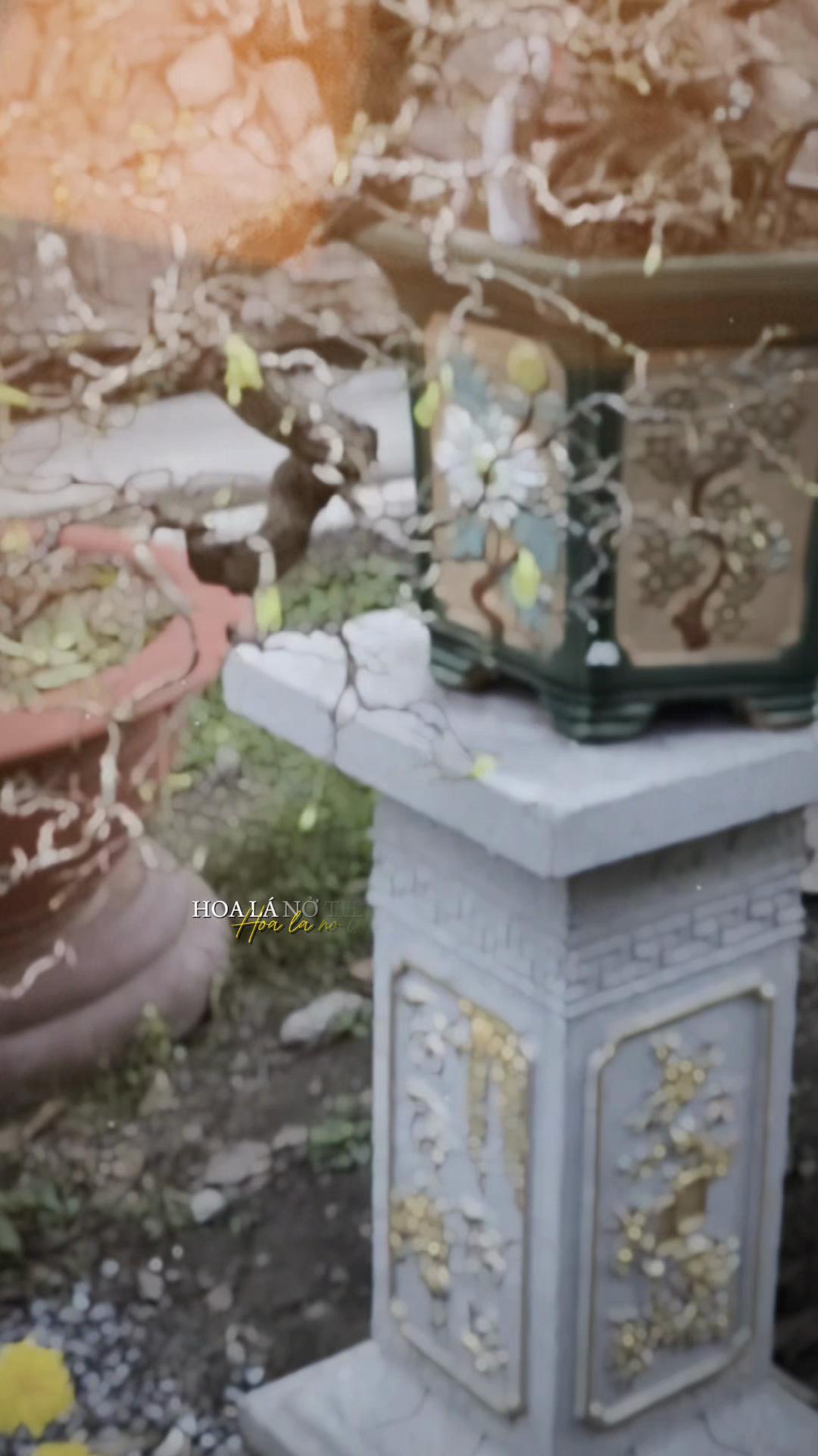 @Sỹ.Hiếu- Tân CN đi NV