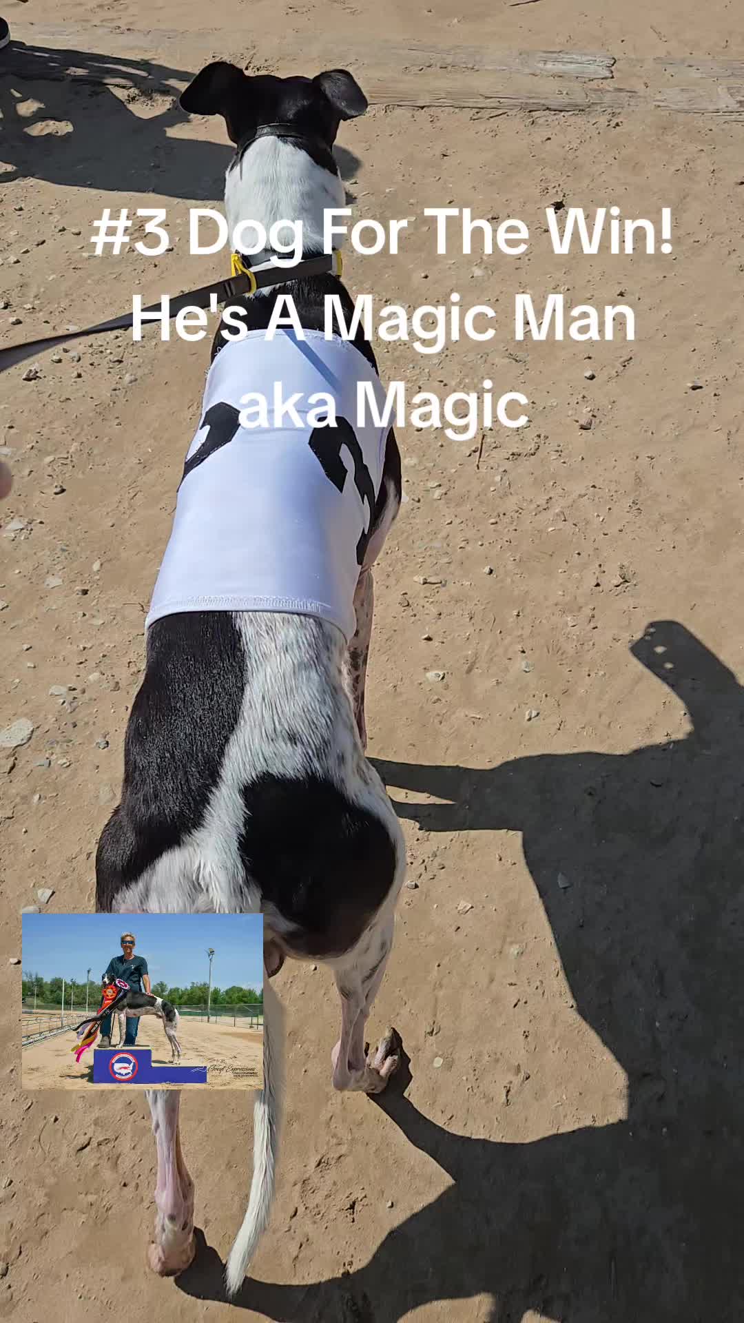 @BeniTheRetiredRacer