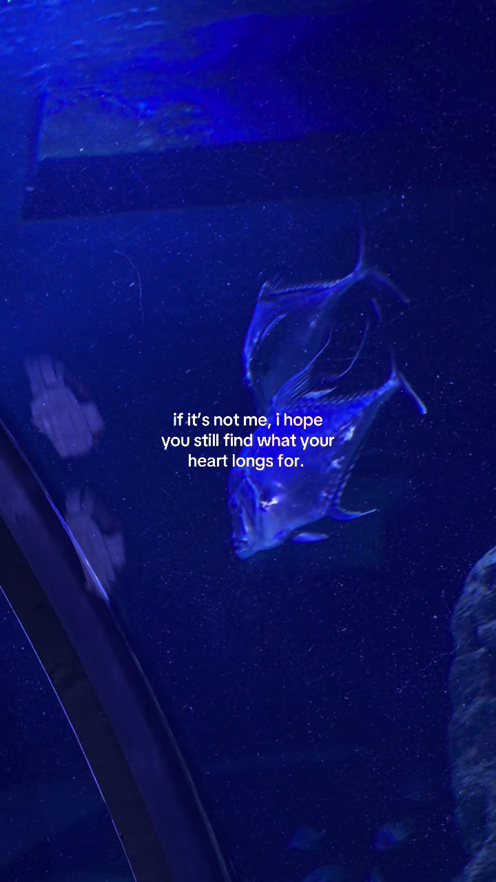 @something i couldn&rsquo;t say