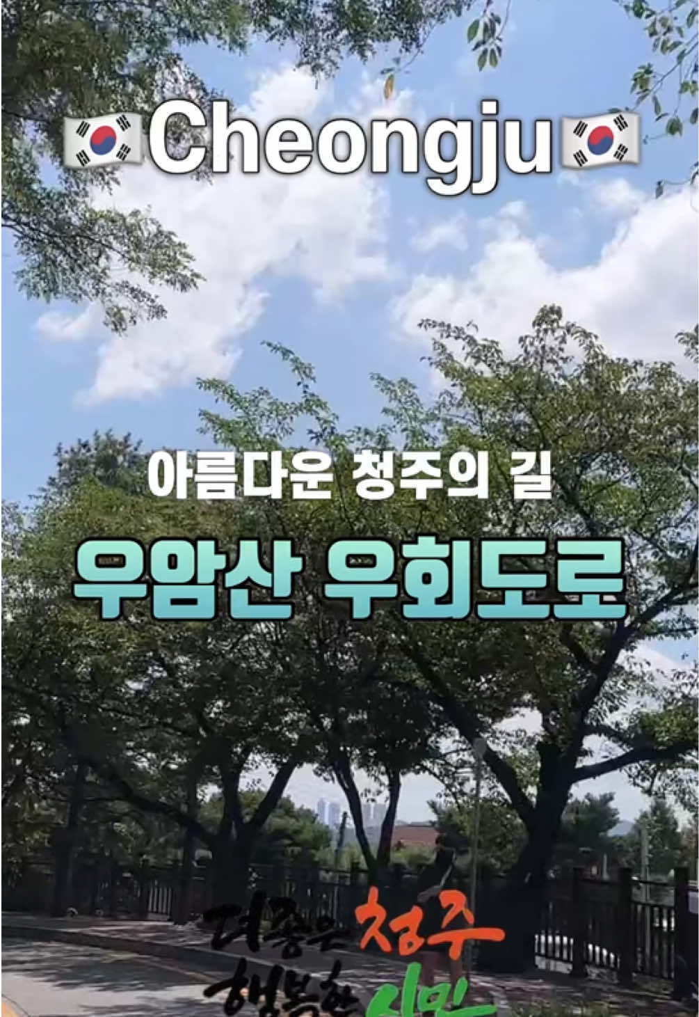 @043 TV