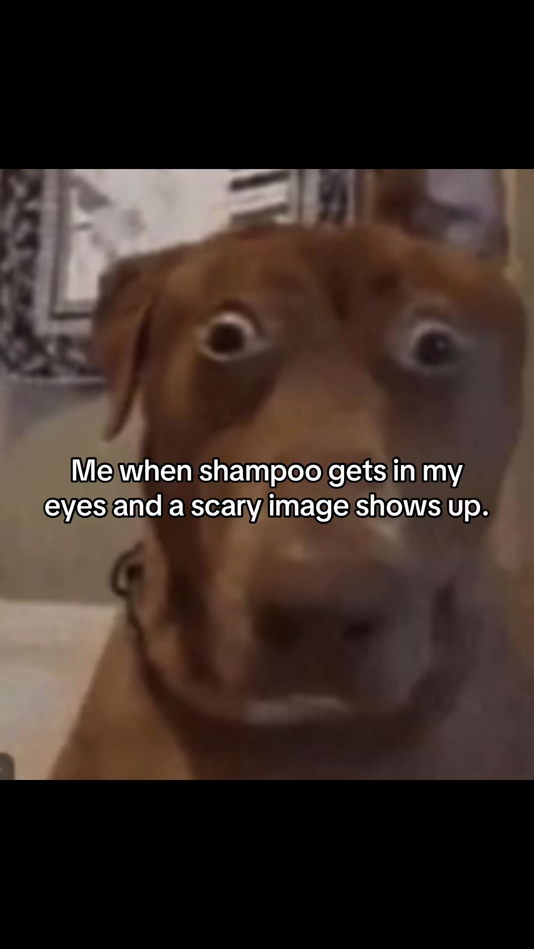 @Avienix