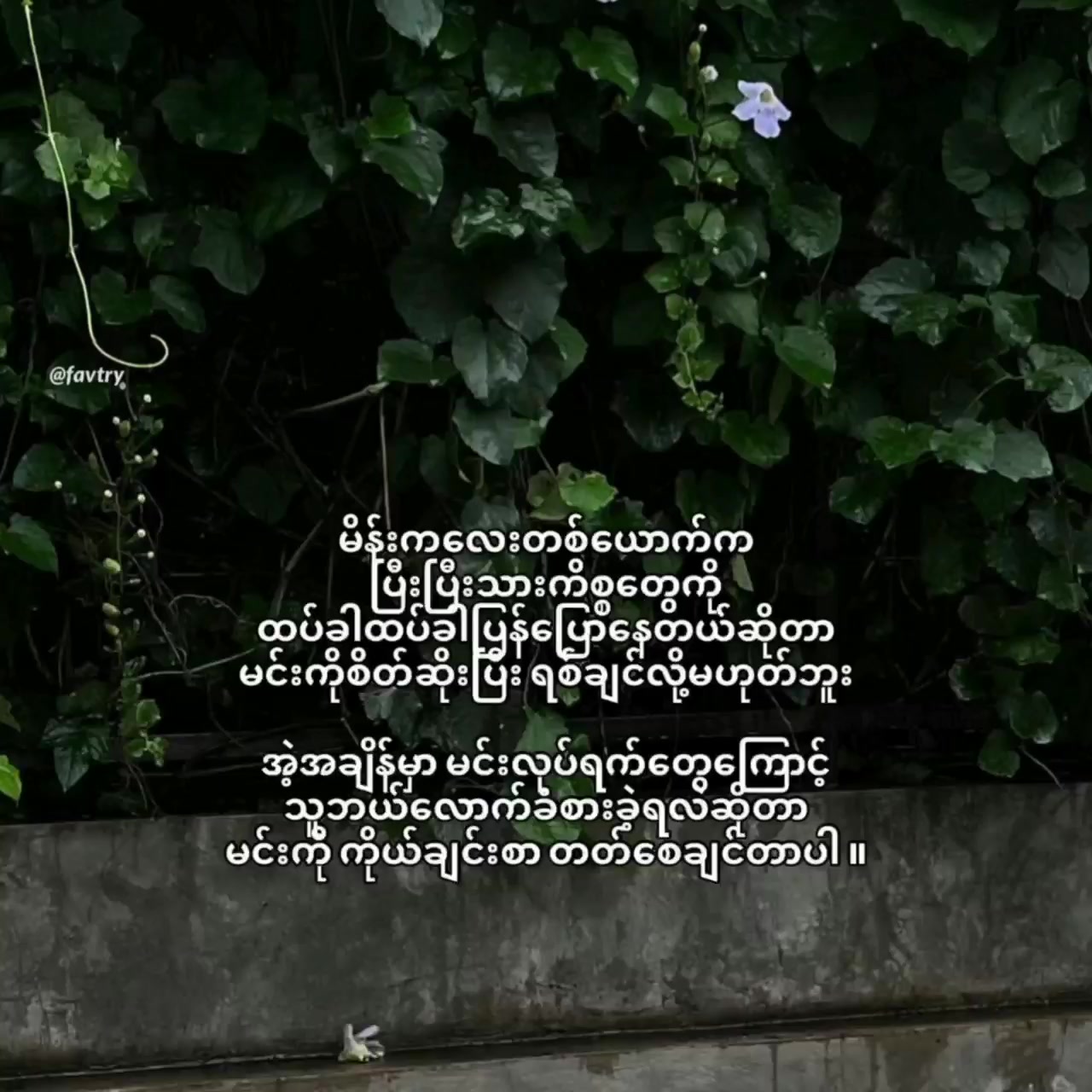 @🍑May Thawn Sat🍑