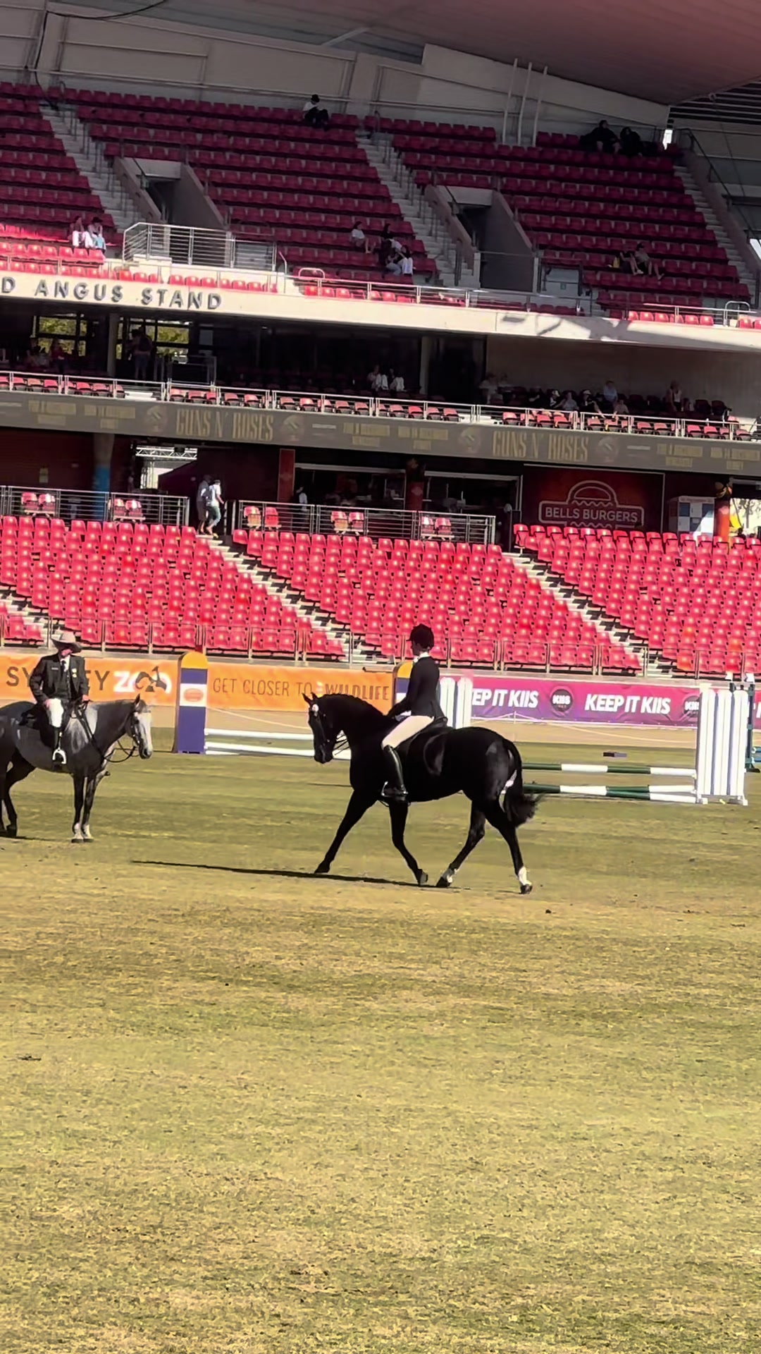@AR show horses
