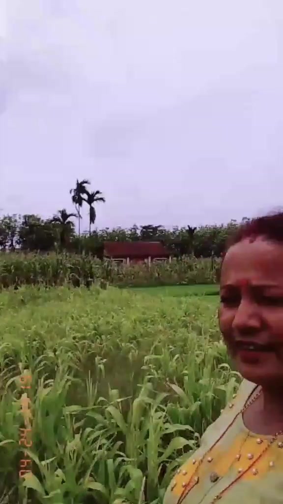 @renukapradhan02
