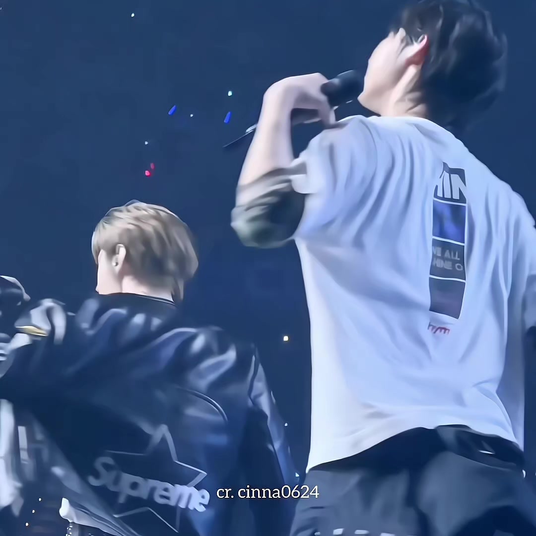 @ara🦊
