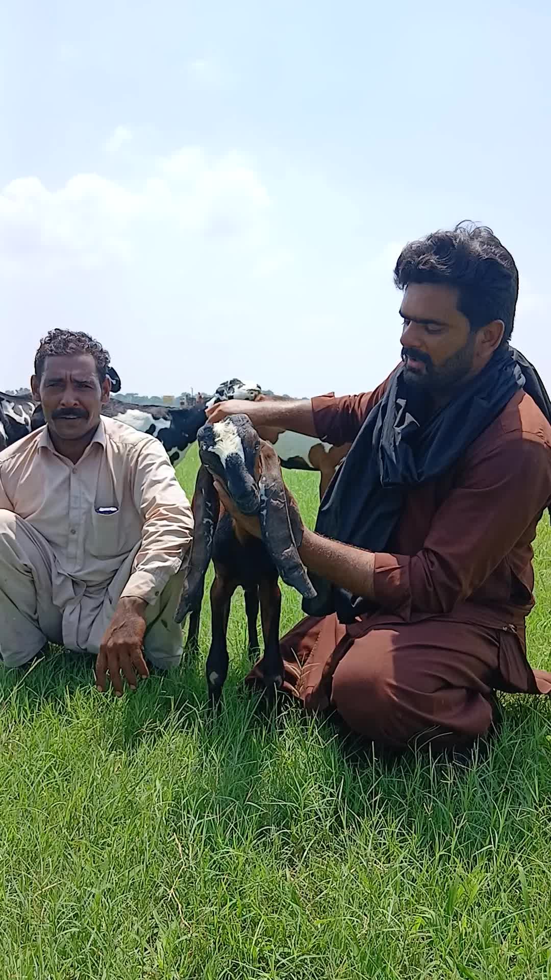 @Farming and Business Ideas